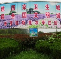 參與生活垃圾分類(lèi) 創(chuàng)建文明襄陽(yáng)