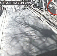 煙頭扔進垃圾桶導(dǎo)致起火，公交車司機見義勇為獲點贊